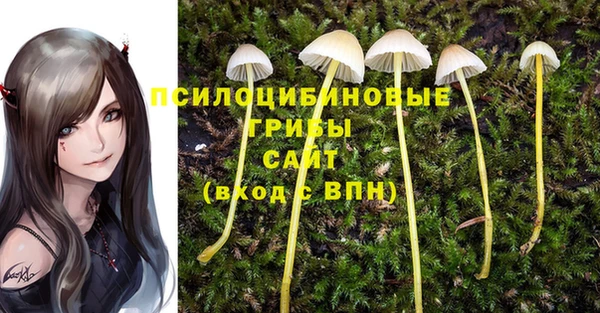 герыч Дедовск