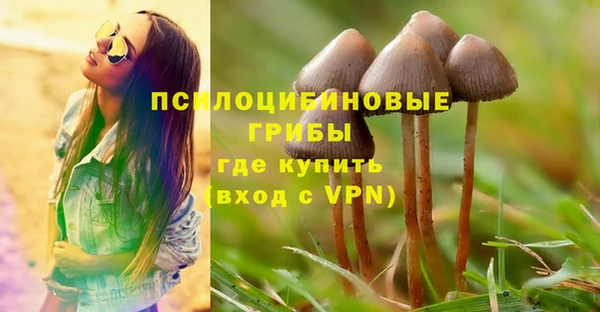 трава Беломорск